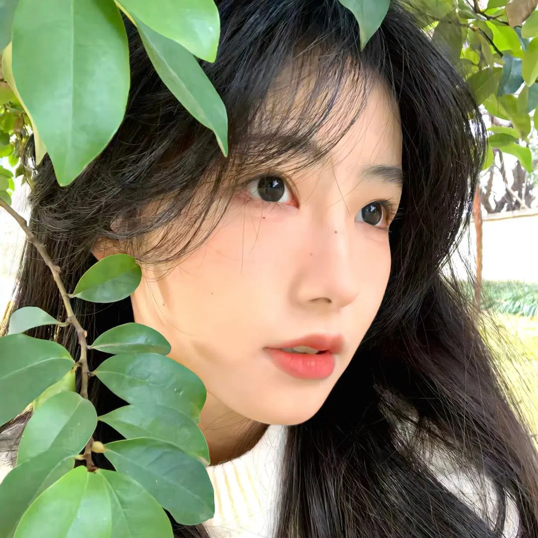 卡通一箩筐第一季