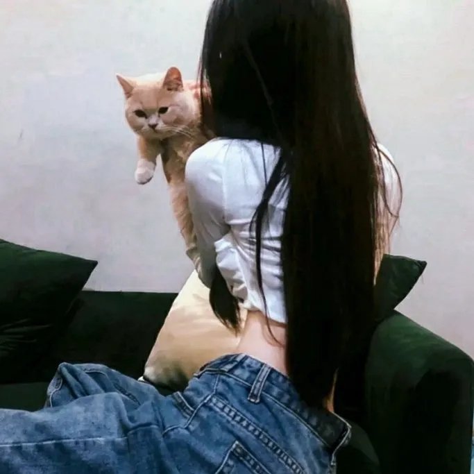 红尘囧探刘小唐